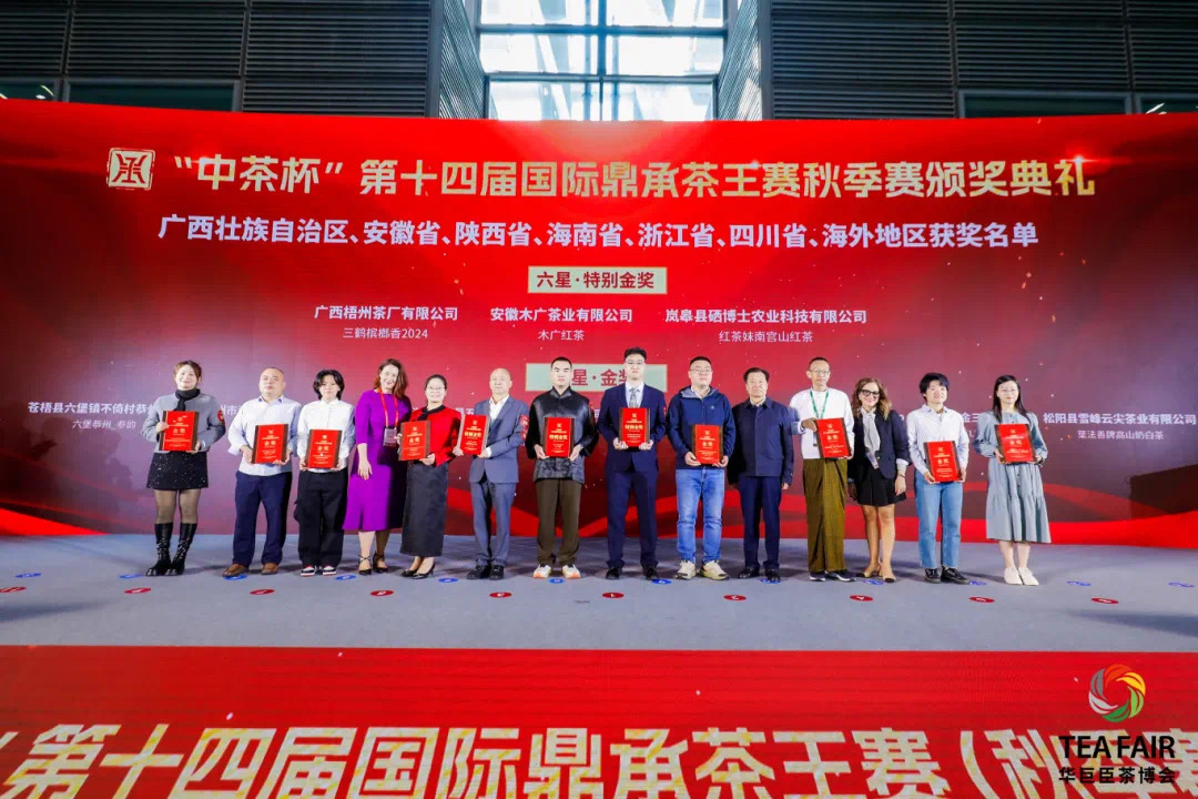 Award Ceremony Stage